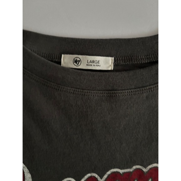 47 NFL Tampa Bay Buccaneers Womens Gray T Shirt Large Distressed Graphic Tee - Picture 6 of 6